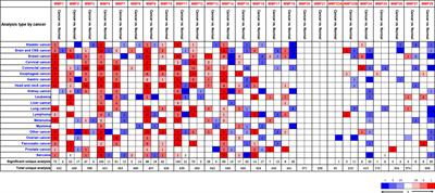 Comprehensive Analysis of the Expression and Prognosis for MMPs in Human Colorectal Cancer